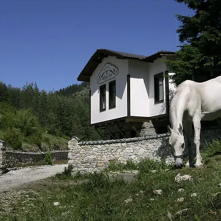 Family Arkan * Trigrad