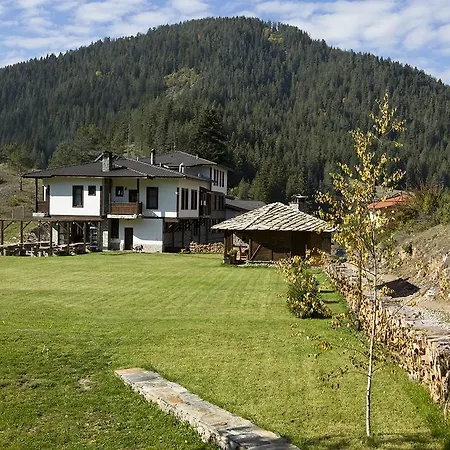 Family Arkan Trigrad