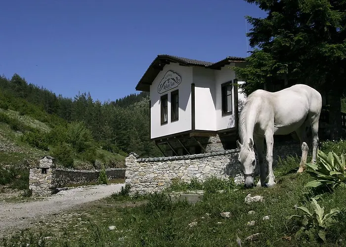 Family Arkan * Триград