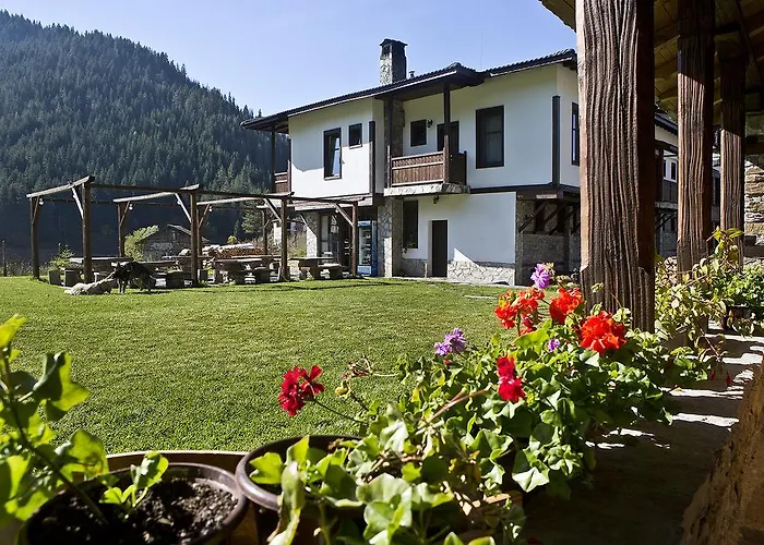 Отель Family Arkan *